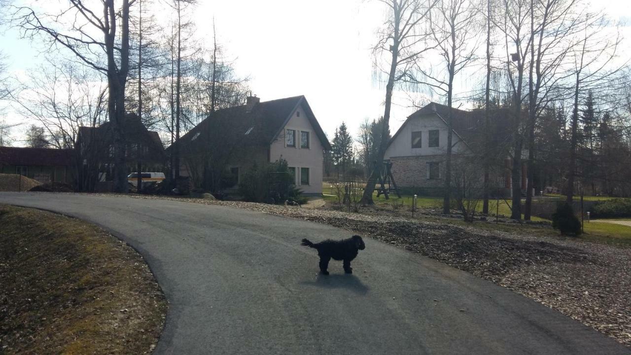 Holiday Home Ermine Sigulda Dış mekan fotoğraf